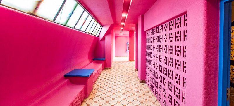 喜马拉雅的神秘魅影：雪人之谜