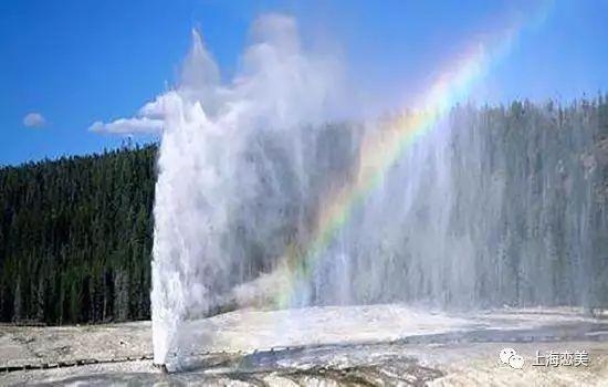 清醒时刻：一次关于黄石公园的深度反思