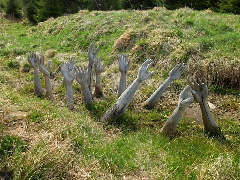 沙漠中的幽灵荒芜｜生命的奇迹与生态的奥秘