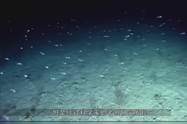深海之谜丨无线电静默下的马里亚纳海沟无名合照