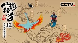 南极洲的“九头蛇”—冰川的神秘与力量