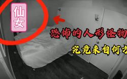 冰川深处的诡异脚步丨一个关于黑胶片的未解之谜