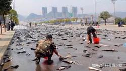撞击坑里的倒挂雕像雨鱼·一场荒诞又震撼的宇宙奇观