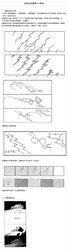 在荷兰的田野上，一种奇异的绿意在生长？