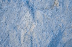 冰川下的神秘火蜥｜探秘极地世界的生命奇迹