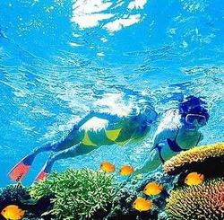 探秘大堡礁—一场与海洋生命的亲密邂逅