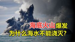 深海奇遇·透明立方动物的神秘暴走