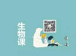 初次的勇气丨在月光下的秘密花园