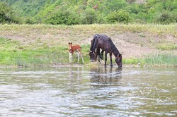 荒芜湖泊水马｜自然与人文的对话