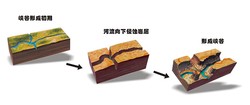 神农架神秘巨型鳞片丨是传说还是科学？