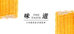 玉米地里的秘密与成长！