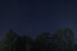 高加索雷元素夜行—大自然的神秘夜巡者