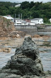 日本海神秘目击事件背后的真相？
