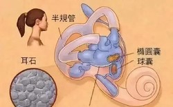 我为什么相信耳语磁性石能让我安静下来？