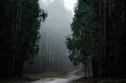 喜马拉雅深处，一场没人记录的血雨？