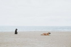 航行大洋洲｜解密“三头犬”的航海奥秘