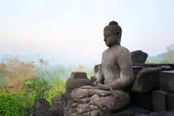 金字塔顶端的幻觉丨群体心理的双环印