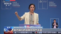 纽约街头偶遇智利红酒，这意外的发现让我对酒有了新认识！