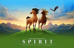 草原上的马王传奇？