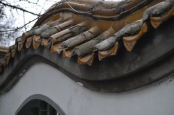 青藏高原的牙齿串迷思—集体失忆还是另有隐情？