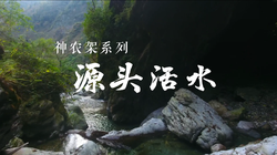 神农架深处的神秘绿光—一场穿越时空的探索