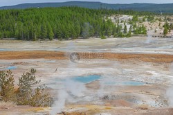 那个被遗忘的黄石报告，藏着最真实的自然真相！