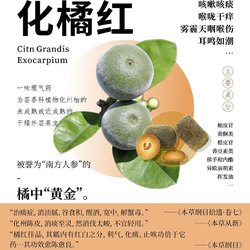 北美未解之谜丨雾灵的神秘面纱