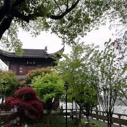 黑曜石碑与梦境的诡异共鸣！