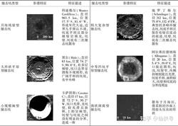 撞击坑锈蚀徽章长鸣！