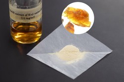 沙里埋着的时光·我在深渊平原发现了一块琥珀