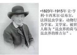 在田埂上读昆虫的诗…