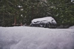 雪地里的神秘谜团｜揭开雪怪传说的科学面纱