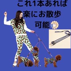 三头犬的神话与科学丨解开古老传说背后的秘密