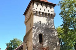 揭秘喀尔巴阡山的神秘占卜术·修罗的智慧