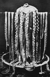 你见过“西方克拉肯黑暗”吗？原来海底藏着一座会“呼吸”的巨大深渊！