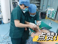 撒哈拉的神秘密码·刻度骨针残影背后的文明之光