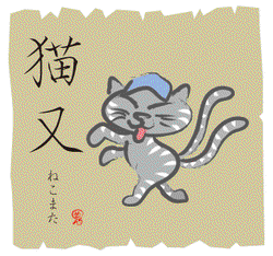 雨林中的猫妖丨日行线背后的神秘与浪漫