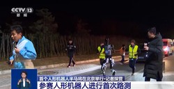 亚马孙丛林里的“隐身人马”到底长啥样？揭开神话背后的生物真相…