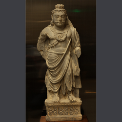 当宇宙风暴遇上神秘生物｜揭秘灾厄西伯利亚毗湿奴坐骑的宇宙密码