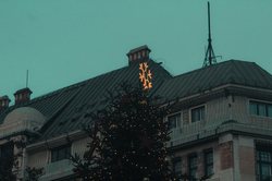 当“欧洲麒麟”消失·喀尔巴阡野牛的悲剧与重生