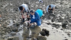 加勒比海深处的四维生命之谜…