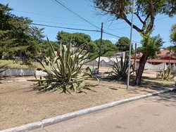 新墨西哥的帕特普赖斯—一个改变地方的故事