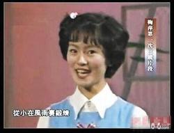 那年夏天，鞠萍姐姐在老槐树下讲了个鬼故事