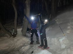 雪山三头犬日行丨神秘动物背后的科学揭秘