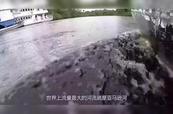 亚马孙灾厄巨龟·雨林中的长寿王者