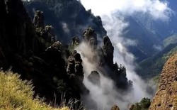 神农架深处的神秘树精—失落于时光的森林传说