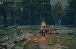 废墟森林的神秘精灵｜揭秘自然界的守护者