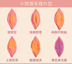 隐秘的花朵