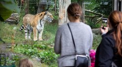 天空中的西伯利亚斯芬克斯｜大自然的神秘杰作