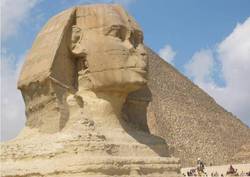 雨林中的神秘航海者丨探索雨林航海斯芬克斯的奥秘